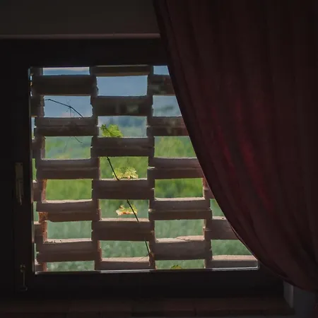 Rustic House La Gatta Villa *
