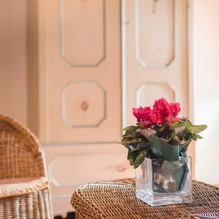 Rustic House La Gatta Villa