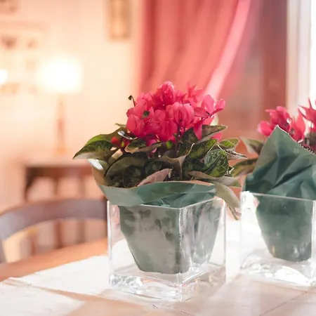 Villa Rustic House La Gatta *